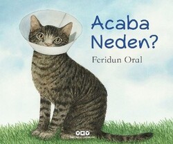 Feridun Oral - Acaba Neden? Feridun Oral - Acaba Neden?