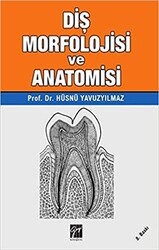 Diş Morfolojisi ve Anatomisi - Thumbnail