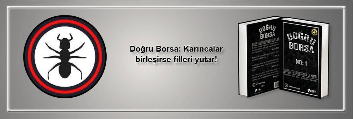 dogru-borsa-karincalar-birlesirse-filleri-yutar