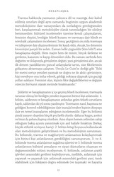 Hesaplaşma - Thumbnail