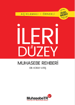 İleri Düzey Muhasebe Rehberi