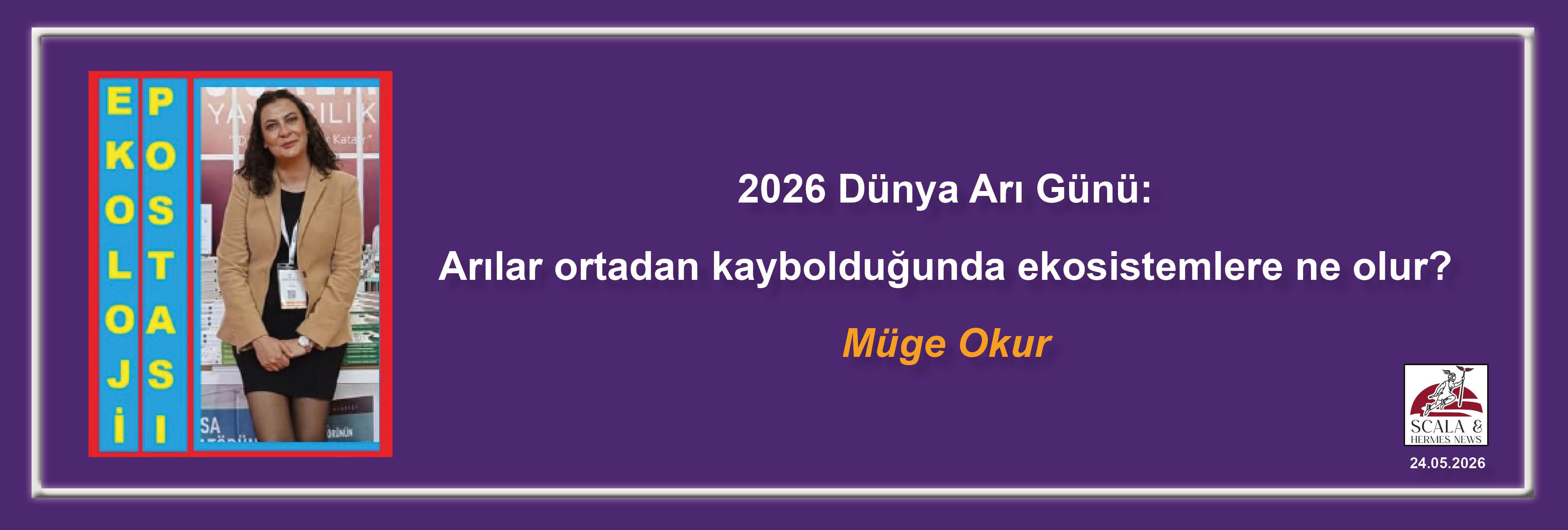 muge-okur-2026-dunya-ari-gunu-arilar-ortadan-kayboldugunda-ekosistemlere-ne-olur