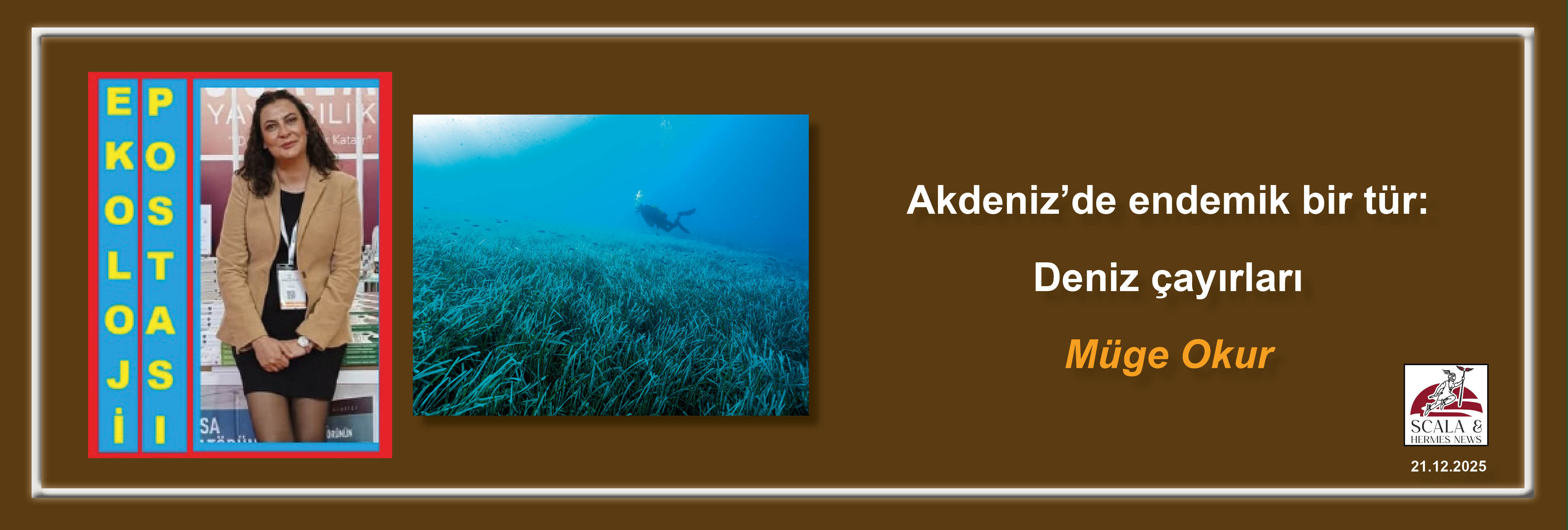 muge-okur-akdenizde-endemik-bir-tur-deniz-cayirlari