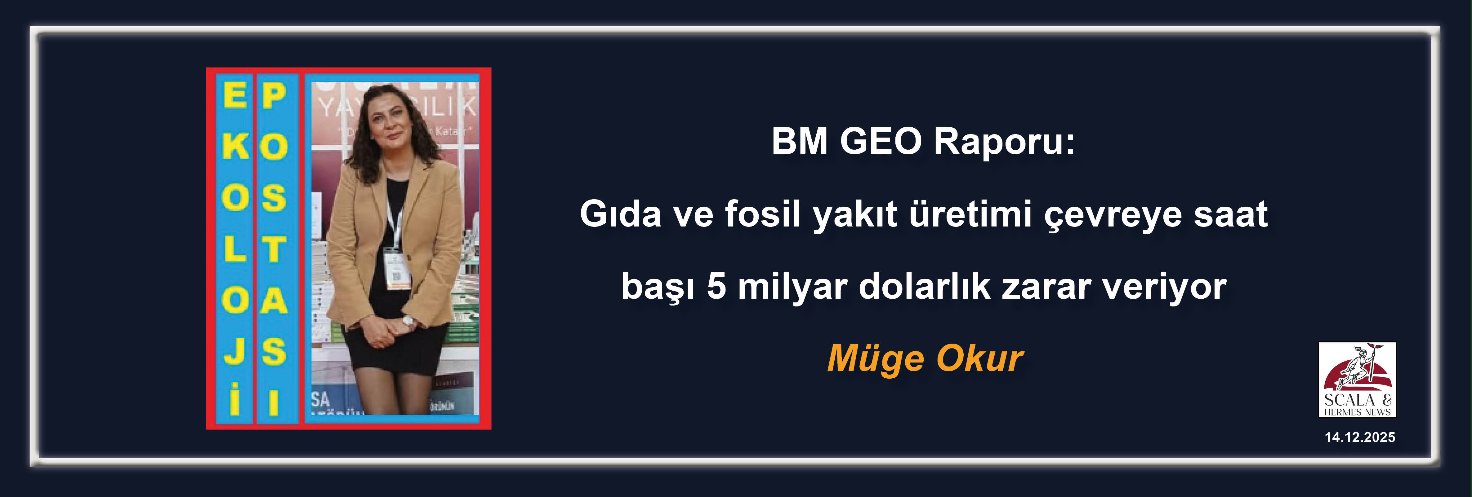 muge-okur-bm-geo-raporu-gida-ve-fosil-yakit-uretimi