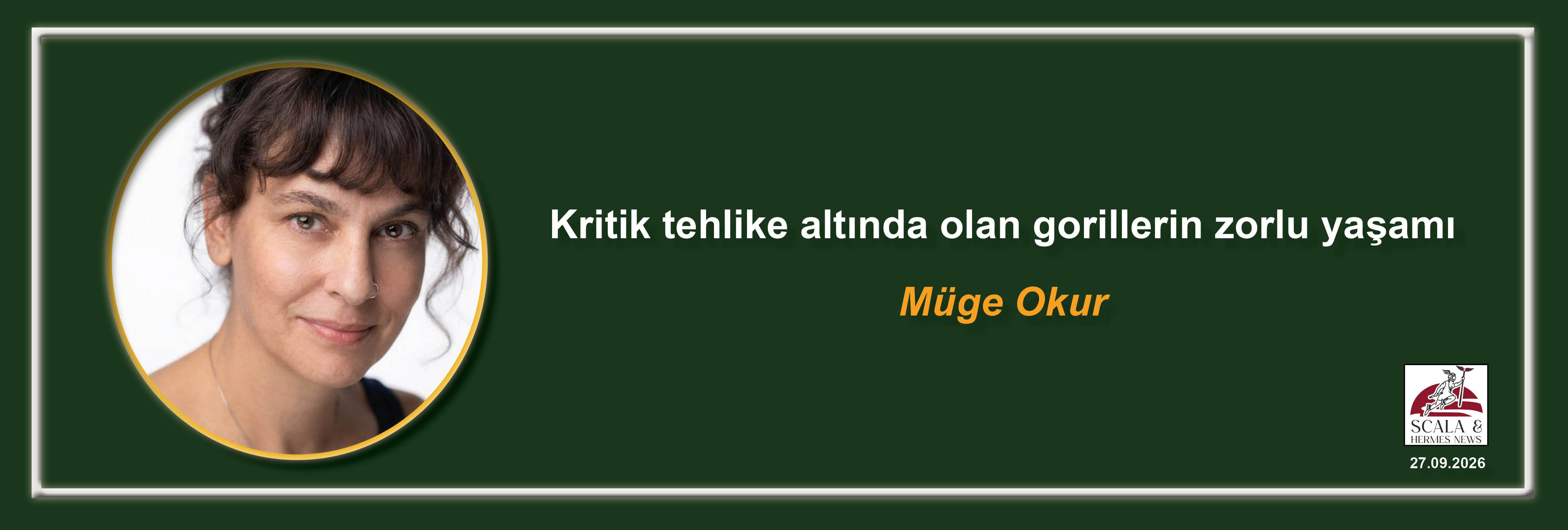 muge-okur-kritik-tehlike-altinda-olan-gorillerin-zorlu-yasami