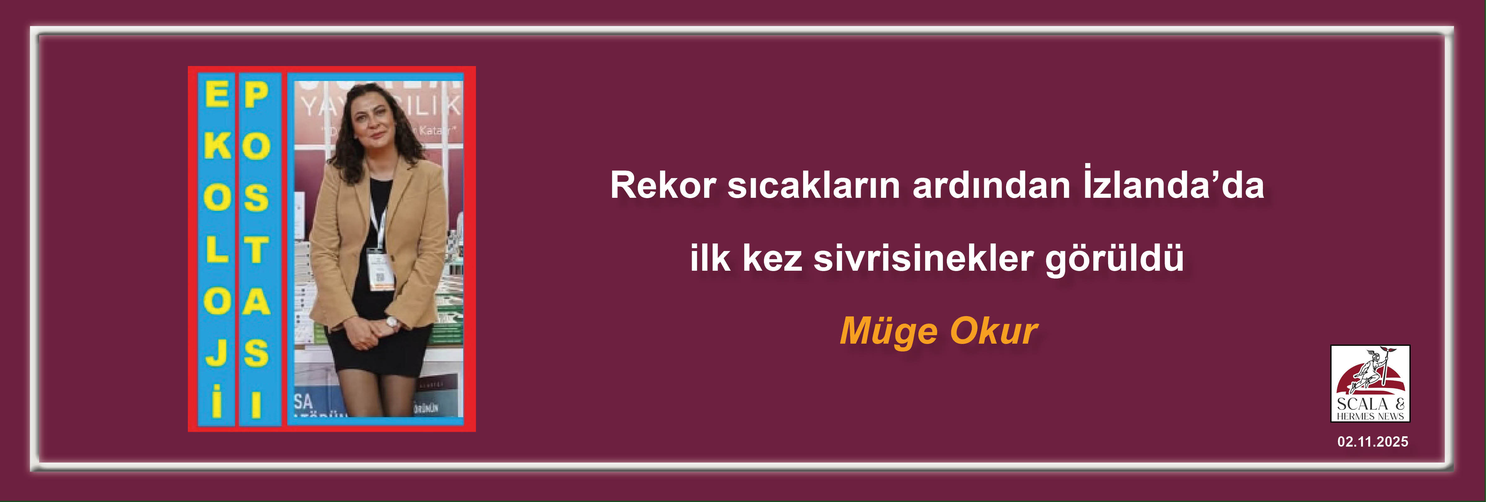 muge-okur-rekor-sicaklarin-ardindan-izlandada-ilk-kez-sivrisinekler-goruldu