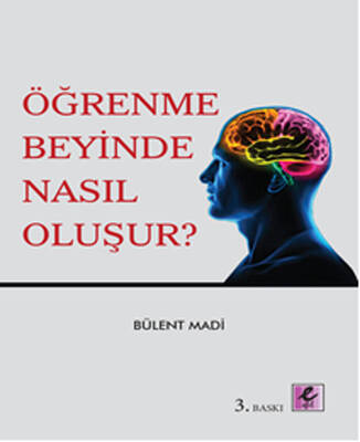 Öğrenme Beyinde Nasıl Oluşur?