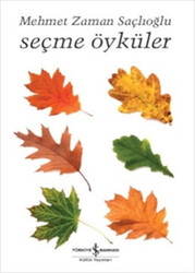 Mehmet Zaman Saçlıoğlu - Seçme Öyküler Mehmet Zaman Saçlıoğlu - Seçme Öyküler