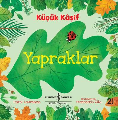 Yapraklar - Küçük Kaşif